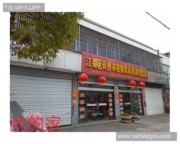 与刘娜畅谈篮球生涯的点滴与追求的精彩旅程