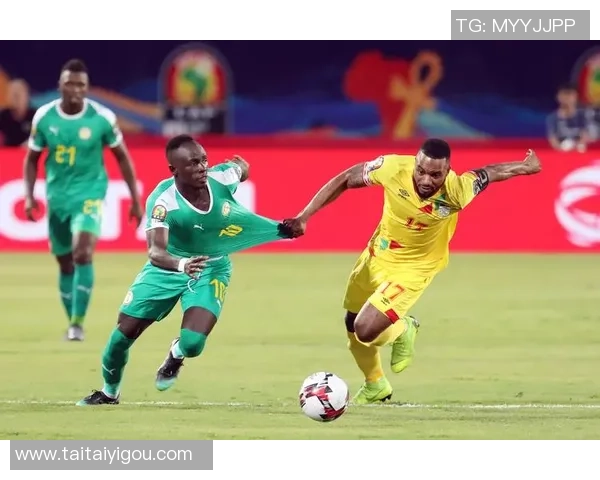 塞内加尔与喀麦隆激战在即谁将赢得非洲足球的荣耀之战 塞内加尔与喀麦隆激战在即谁将赢得非洲足球的荣耀之战