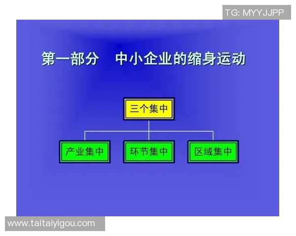 广州足球队技术解析：从战术布局到球员配合的全景分析MBA
