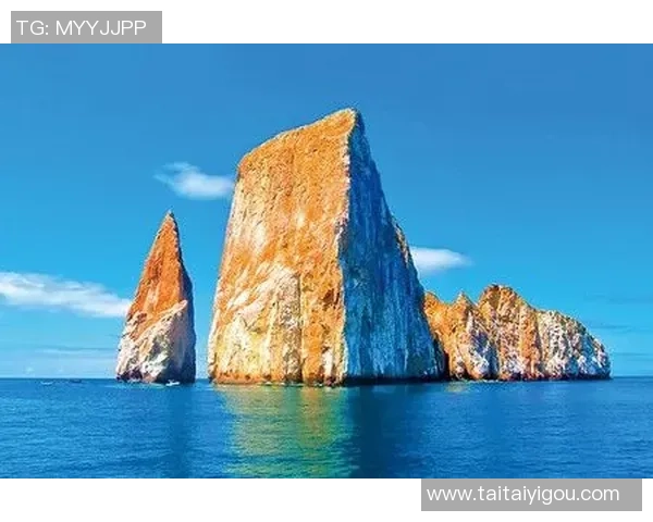 美国与玻利维亚单场推荐分析及投注策略详解