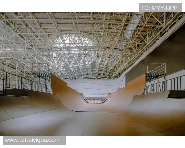 南京极限运动队转型之路：探索新兴运动的挑战与机遇