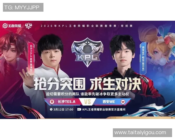 王者荣耀团队配合再创新高WE战队展现强大实力与默契